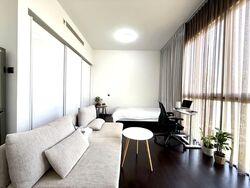 Kallang Riverside (D12), Apartment #539632671